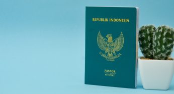 Immigrate to New Zealand from Indonesia