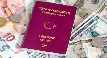 Immigrate to New Zealand from Turkey