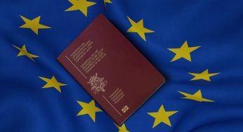 Immigrate to New Zealand from Belgium