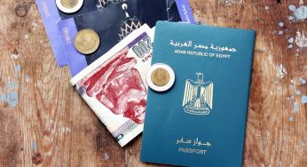 Immigrate to New Zealand from Egypt