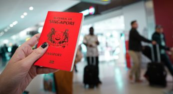Immigrate to New Zealand from Singapore