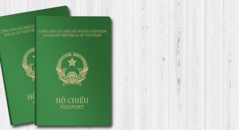 Immigrate to New Zealand from Vietnam